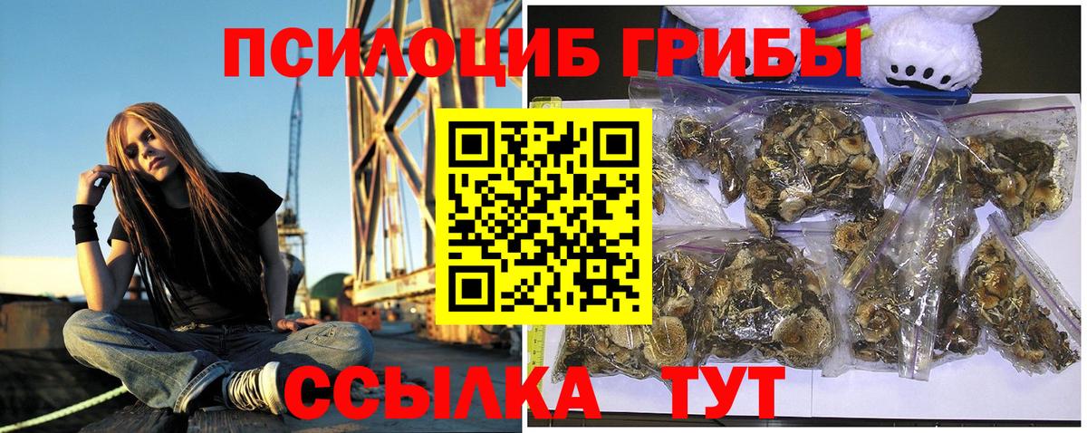 Алексеевка  Псилоцибиновые грибы Cubensis  Вход с VPN 