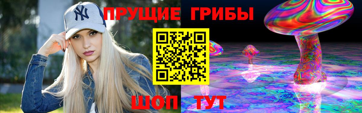 Псилоцибиновые грибы мицелий Алексеевка